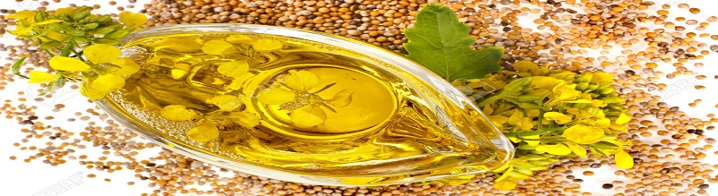 L’olio di senape e le sue proprietà